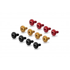 CNC Racing Rear Handle (Luggage Rack Delete) Screw Kit for the Ducati Multistrada V4